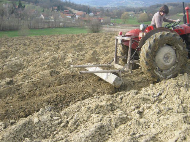 Zatvaranje brazde 2013  - foto povečava