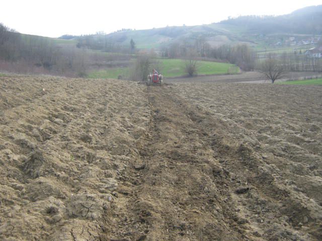 Zatvaranje brazde 2013  - foto povečava