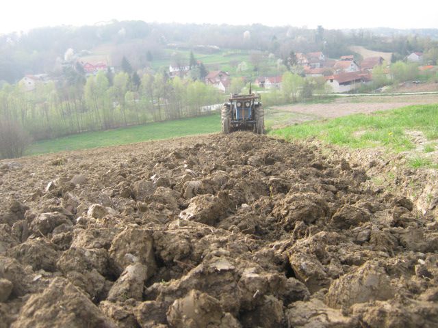 Zatvaranje brazde 2013  - foto povečava