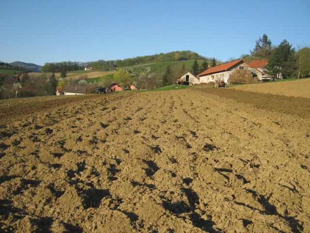 Zatvaranje brazde 2013  - foto povečava