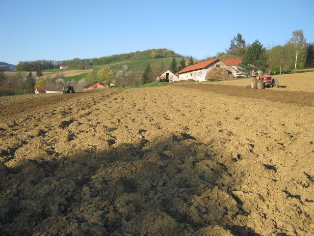 Zatvaranje brazde 2013  - foto povečava