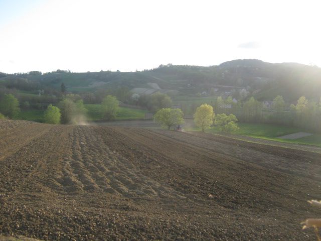 Zatvaranje brazde 2013  - foto povečava