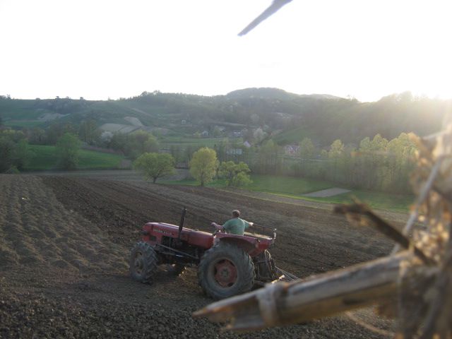 Zatvaranje brazde 2013  - foto povečava