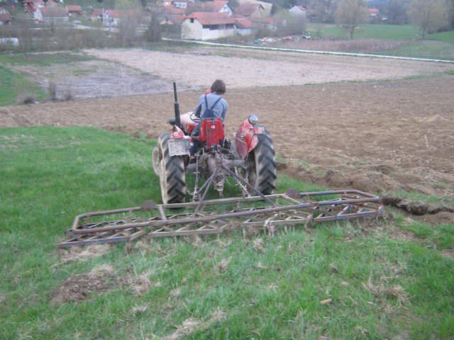 Drljanje livade 2013 - foto povečava