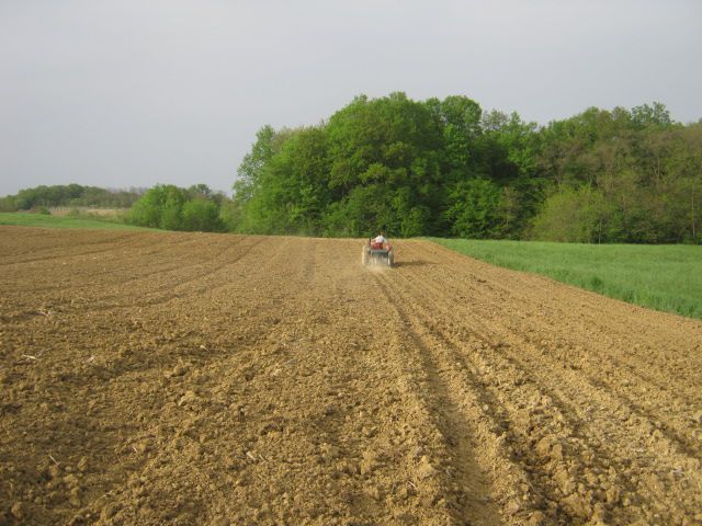 Sjetva kukuruza 2013 - foto