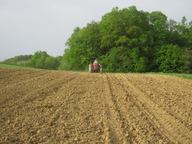 Sjetva kukuruza 2013 - foto povečava