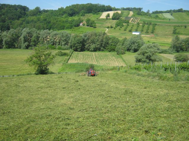 Lucerna 2013 - foto povečava