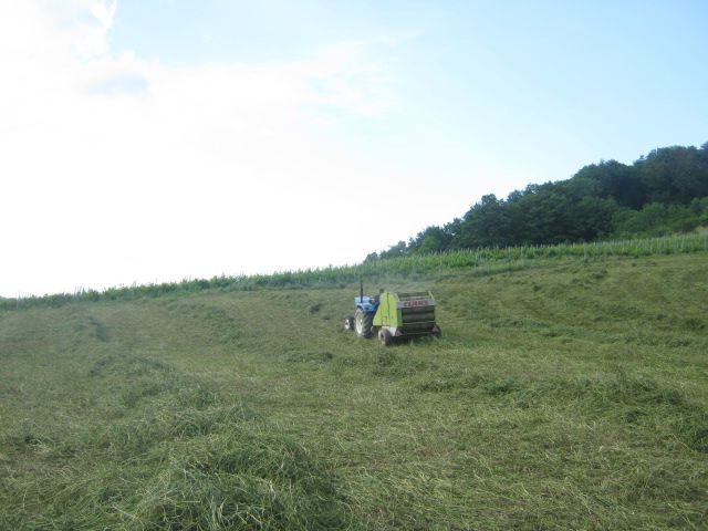 Lucerna 2013 - foto povečava