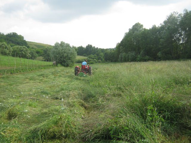 1. sijeno 2013 - foto povečava