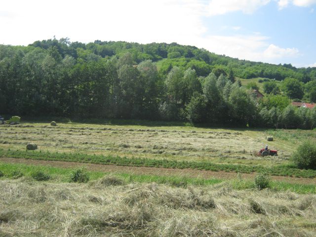 1. sijeno 2013 - foto povečava