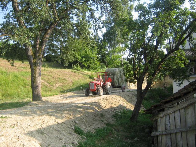 Spremanje sijena 2013  - foto