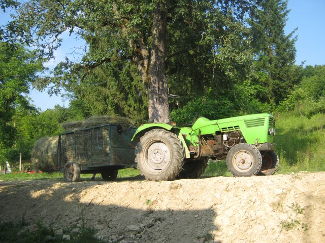 Spremanje sijena 2013  - foto