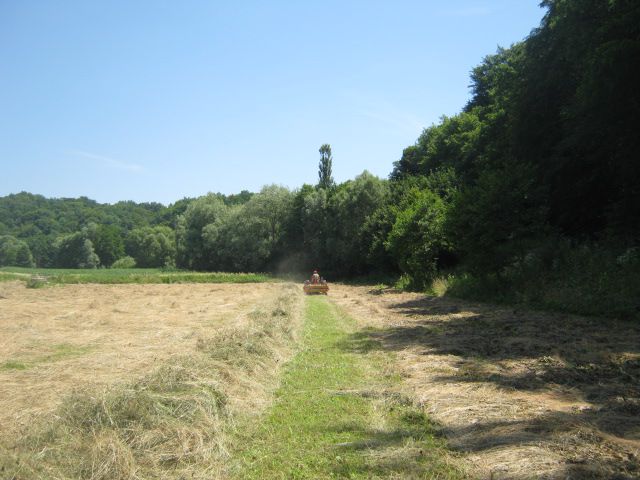 Spremanje sijena 2013  - foto