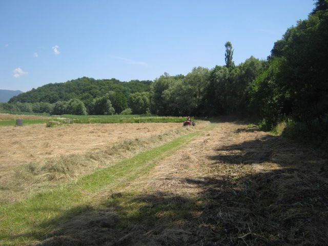 Spremanje sijena 2013  - foto