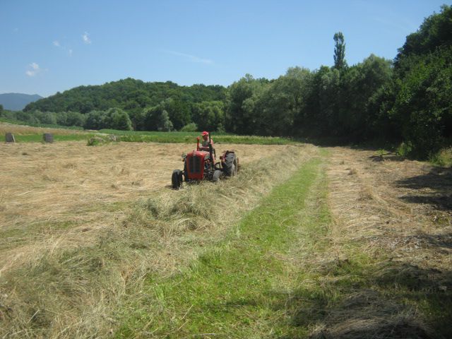 Spremanje sijena 2013  - foto