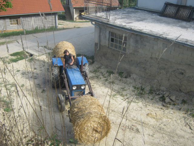 Slama 2013 - foto povečava