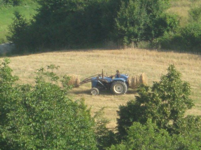 Slama 2013 - foto povečava