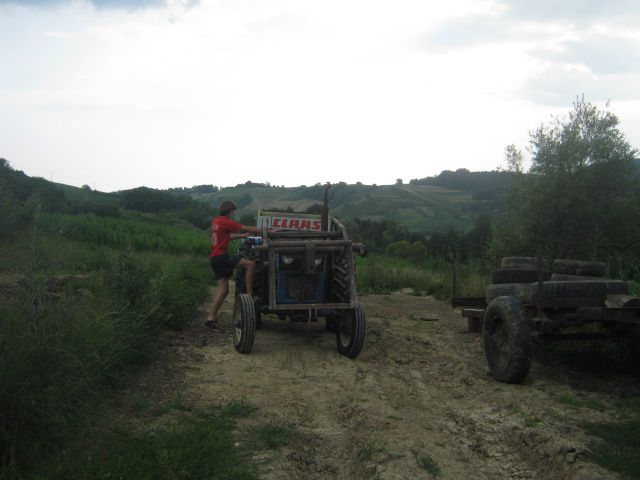 Spremanje lucerke 2013 - foto povečava