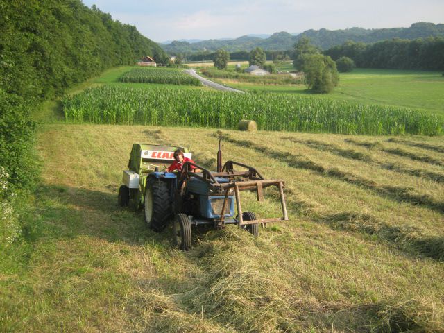 Spremanje lucerke 2013 - foto povečava