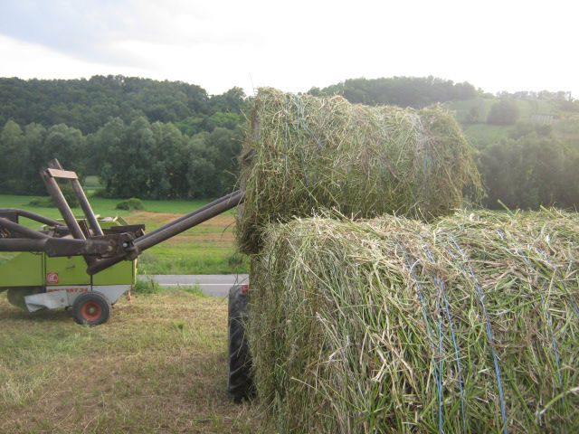 Spremanje lucerke 2013 - foto