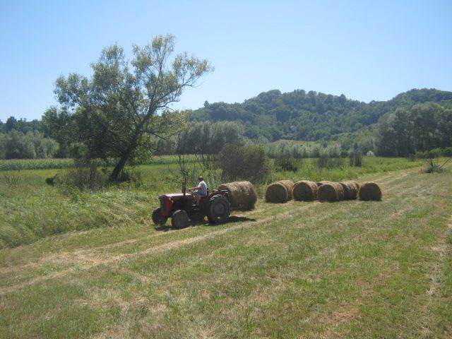 Sjeno 2013 - foto