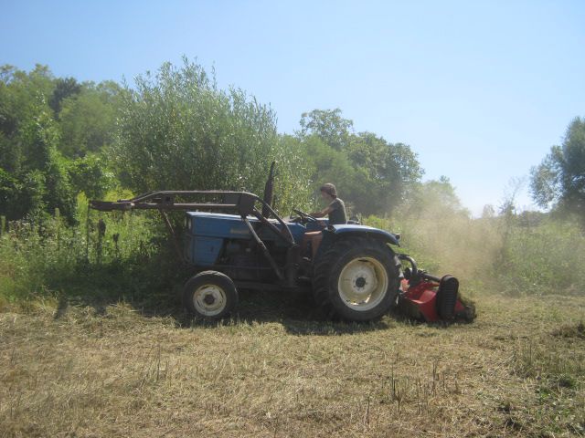 Malčiranje 2013 - foto povečava