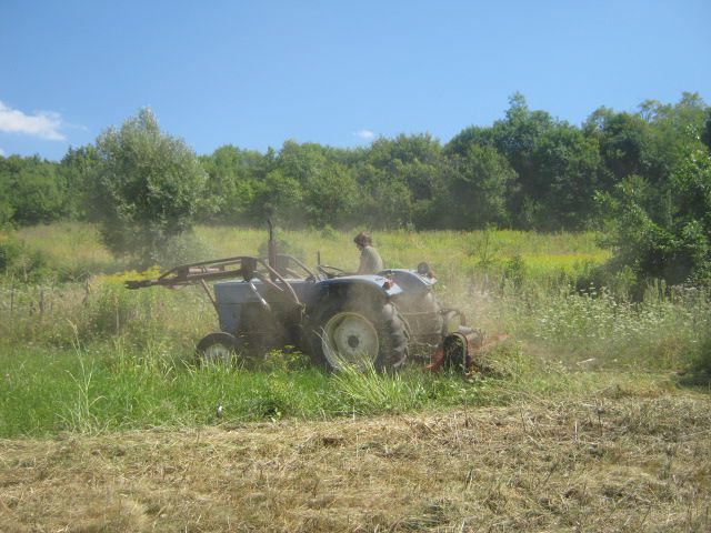 Malčiranje 2013 - foto povečava