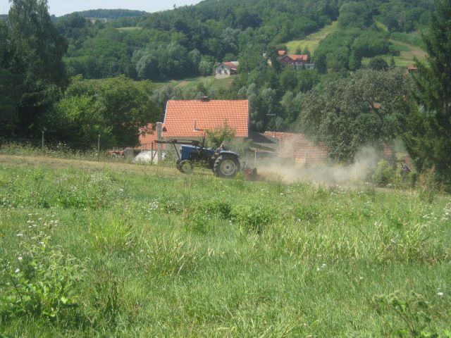 Malčiranje 2013 - foto