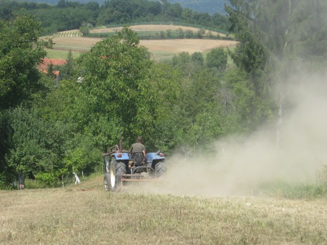 Malčiranje 2013 - foto