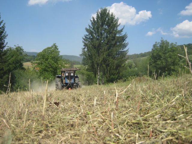 Malčiranje 2013 - foto povečava