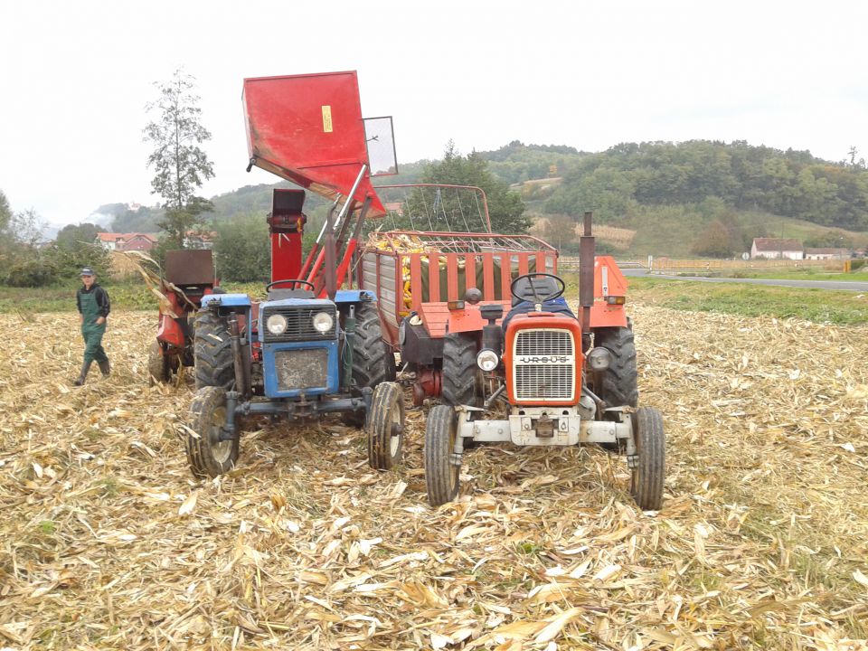 Berba kukuruza 2013 - foto povečava