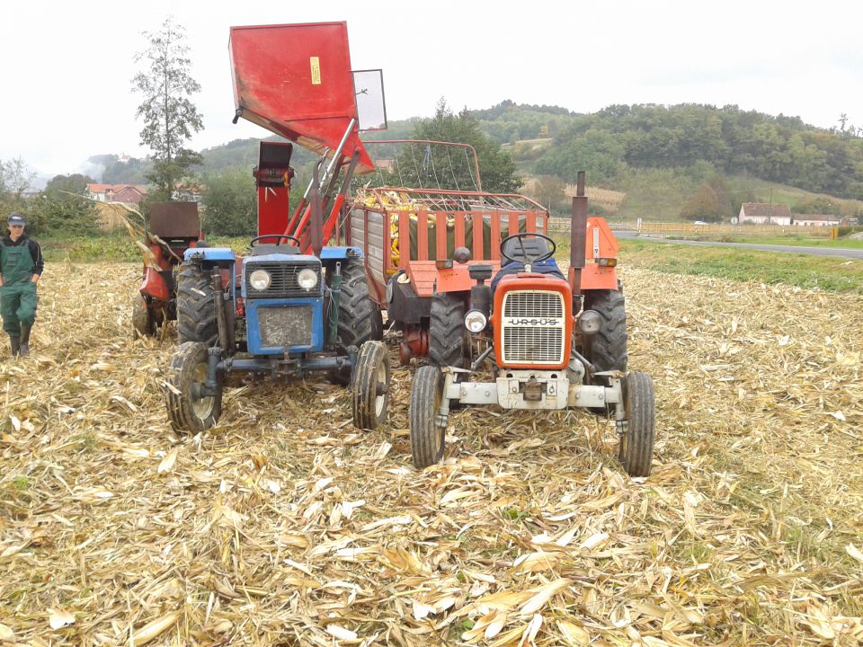 Berba kukuruza 2013 - foto povečava