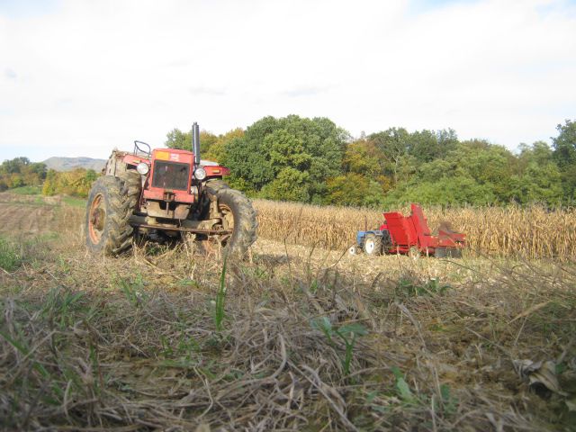 Berba kukuruza 2013 - foto povečava