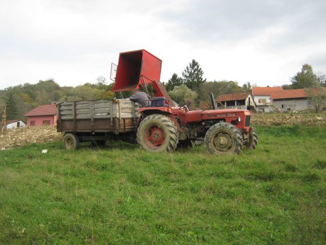 Berba kukuruza 2013 - foto povečava