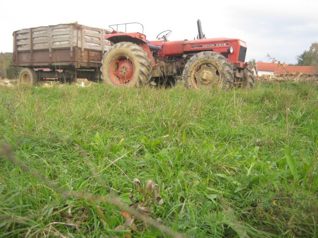 Berba kukuruza 2013 - foto povečava