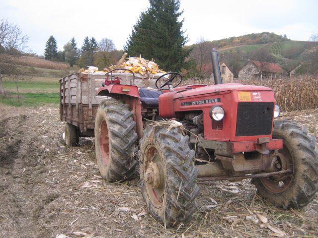 Berba kukuruza 2013 - foto povečava