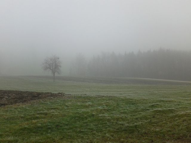 Stručna posjeta sloveniji-13.12.2013 - foto