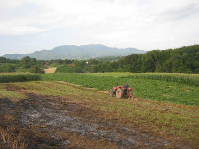 Oranje 2014 - foto povečava