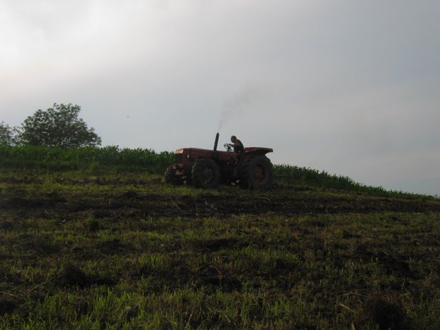 Oranje 2014 - foto povečava