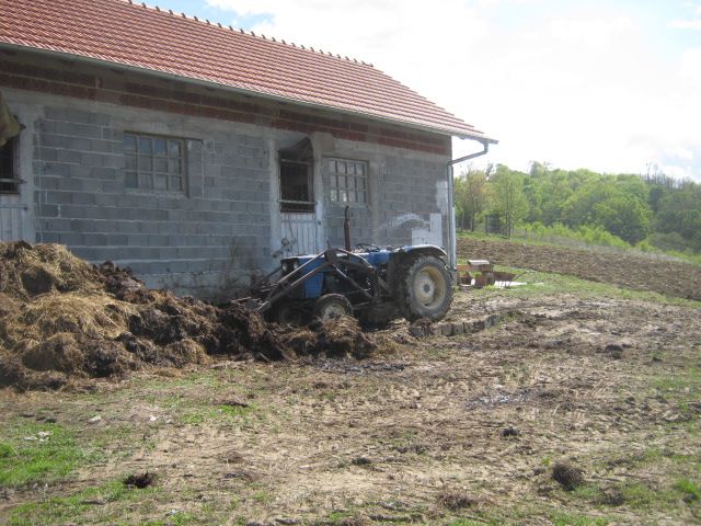 Vožnja gnoja 2014 - foto