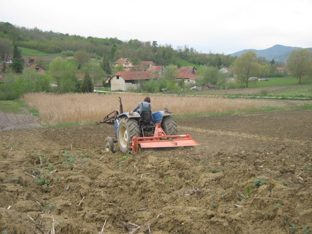 Priprema njiva i sijetva kukuruza 2014 - foto