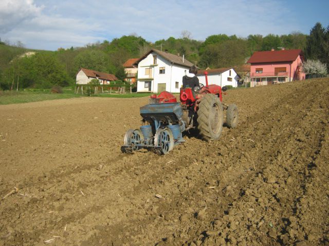 Priprema njiva i sijetva kukuruza 2014 - foto