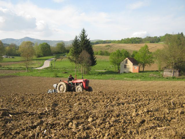 Priprema njiva i sijetva kukuruza 2014 - foto