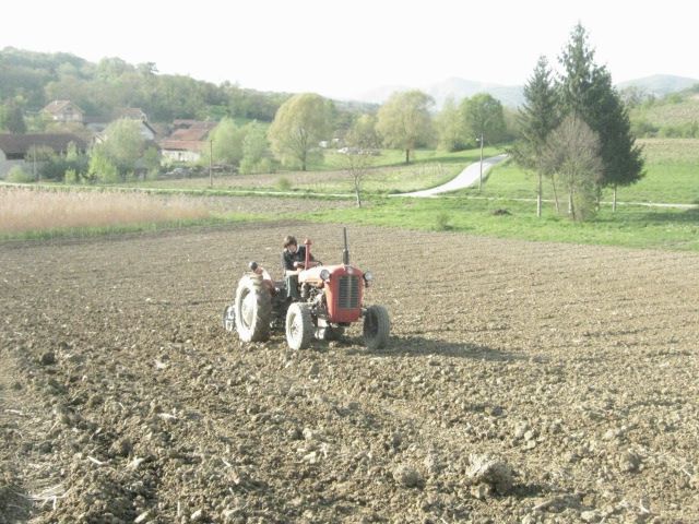 Priprema njiva i sijetva kukuruza 2014 - foto povečava