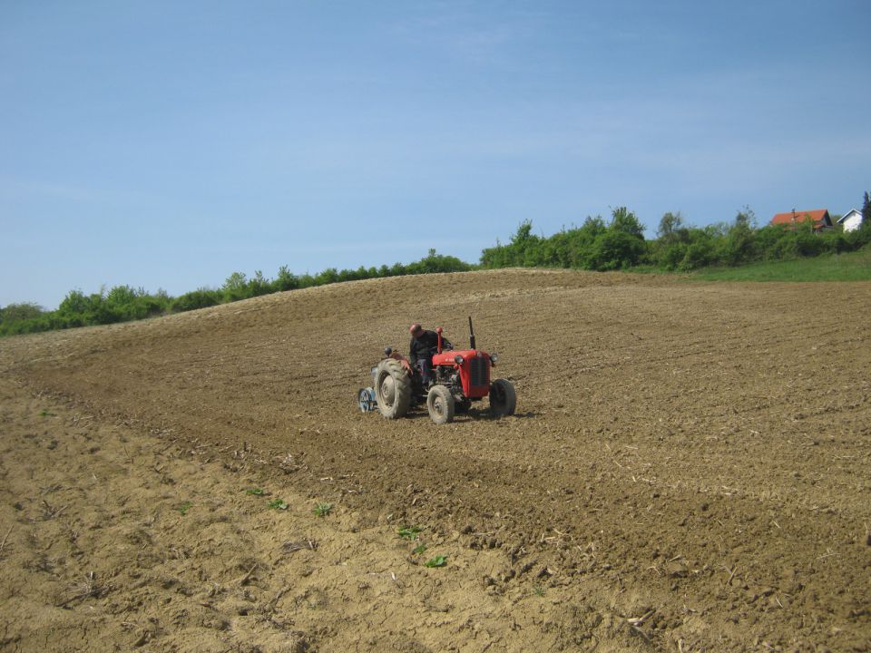 Priprema njiva i sijetva kukuruza 2014 - foto povečava