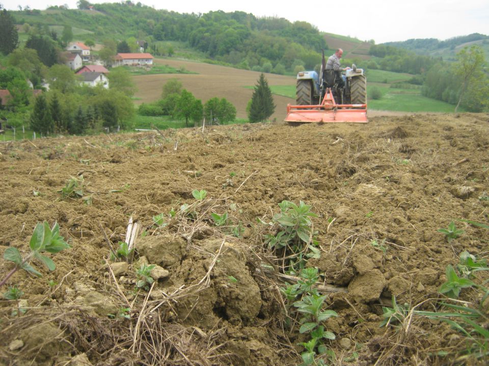 Priprema njiva i sijetva kukuruza 2014 - foto povečava