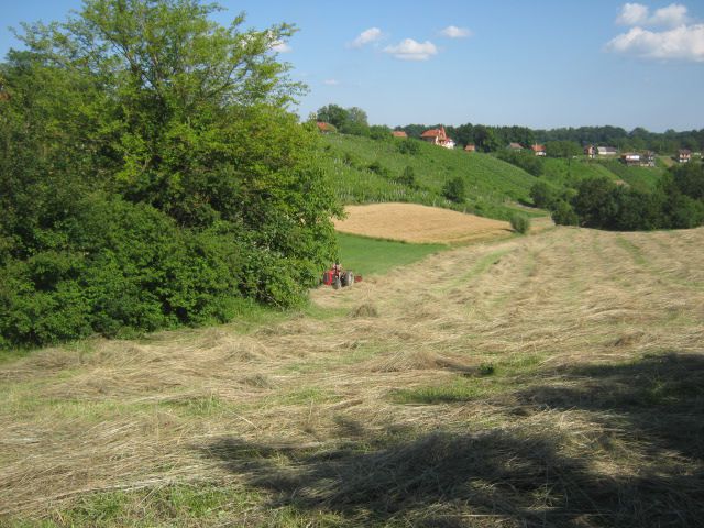 Spremanje sijena 2014 - foto povečava