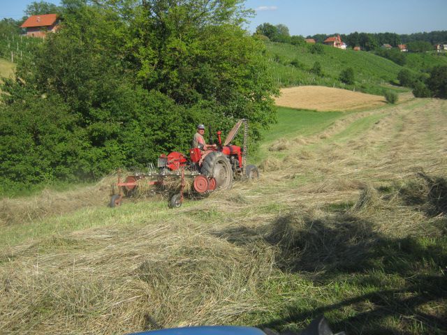 Spremanje sijena 2014 - foto