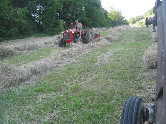 Spremanje sijena 2014 - foto povečava