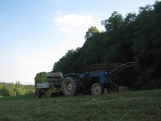 Spremanje sijena 2014 - foto povečava